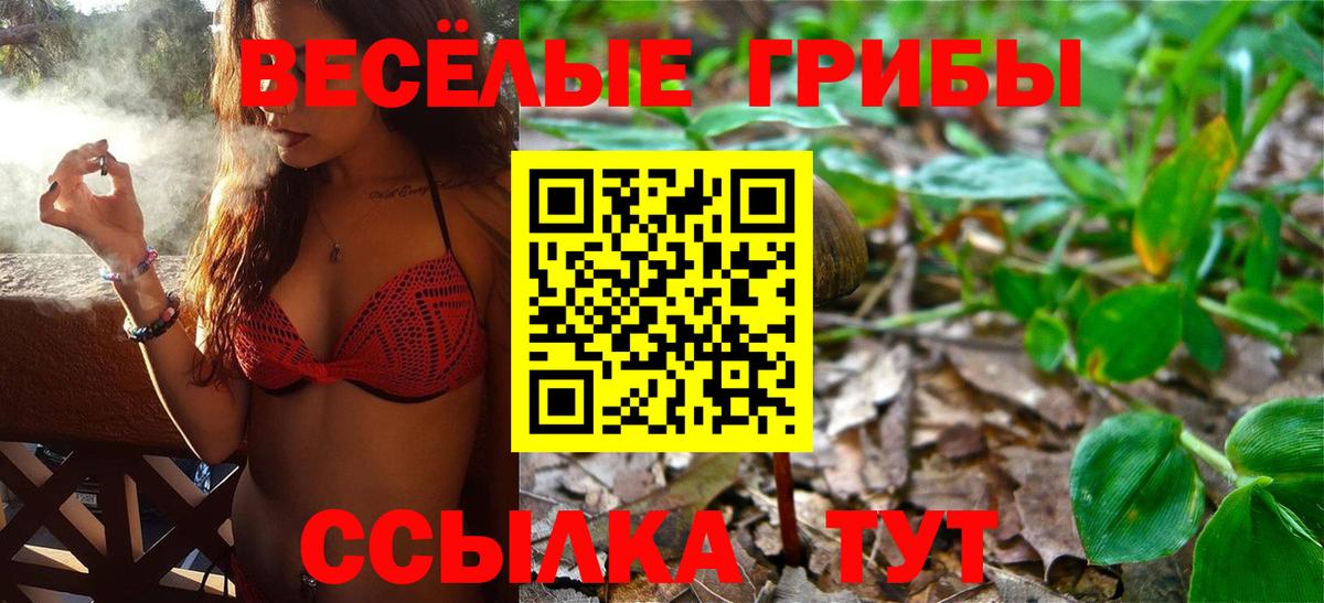 Рязань  Псилоцибиновые грибы MAGIC MUSHROOMS  Вход с VPN  Галлюциногенные грибы мицелий 